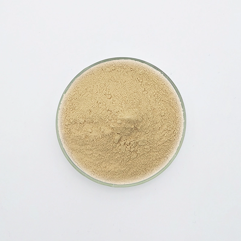 WN-701石膏遅延剤（WN-701）