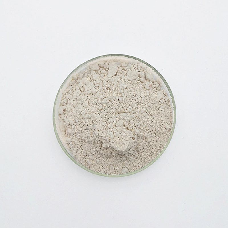 WN-721石膏遅延剤（WN-721）